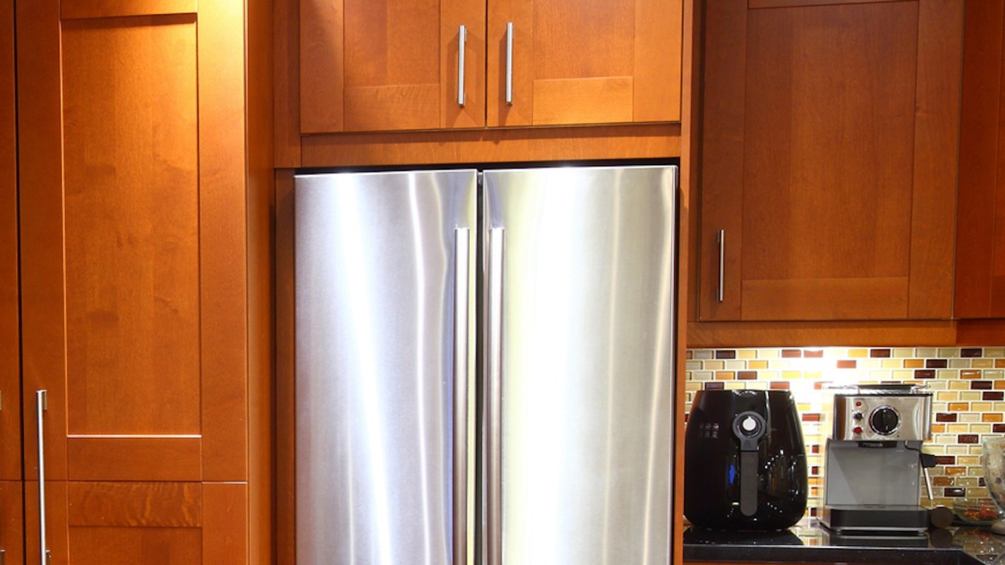 One Redditor shared a video of how they cleaned the dust off their refrigerator's radiator and saved energy.