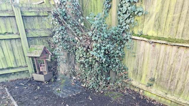 One confused gardener asked Reddit if landscaping fabric is necessary. The overwhelming response was no.