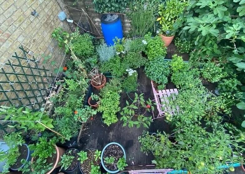 One gardener didn't let his temporary accommodations stop him from doing some impressive gardening with his potted plants.