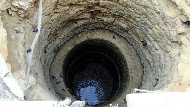 A dedicated rescue team in central India has been preventing human-wildlife conflicts by conducting successful leopard rescues.