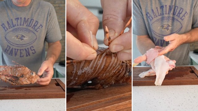 A chef explained why eating an invasive lionfish is actually a very good thing.