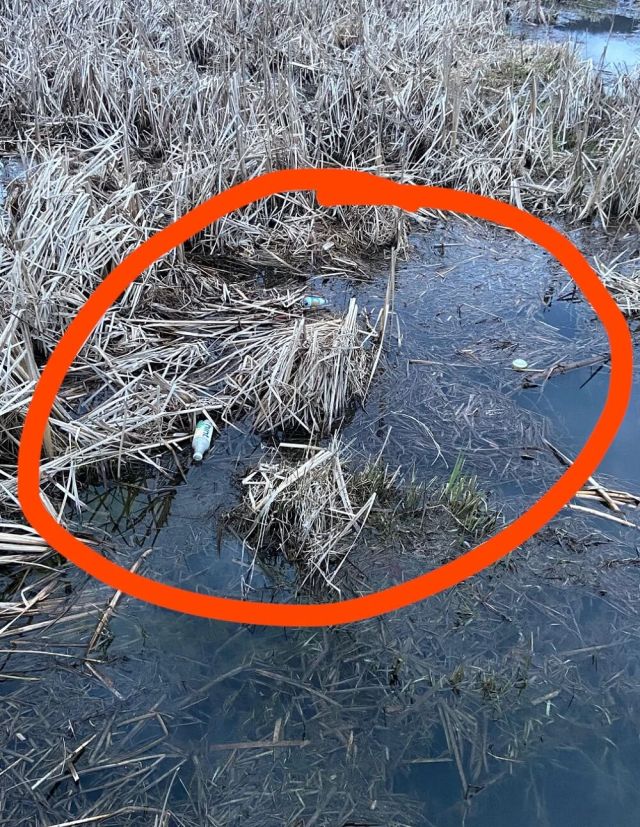 One Binghamton University student showcased an upsetting instance of littering in the school's nature preserve, prompting outcry from other students.