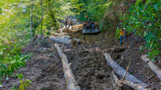 A complaint from The Wilderness Society alleges that wood products sold by Bunnings may not be as eco-friendly as it claims.