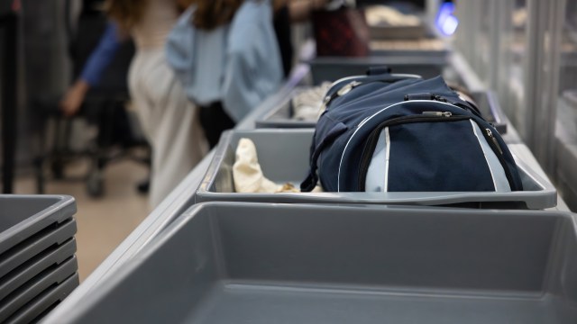 Customs officials at Thailand's Suvarnabhumi Airport arrested a man on wildlife smuggling chargers after discovering a surprising pair of protected animals in his luggage.