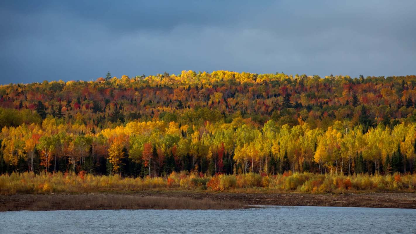 Clean energy expert Matt Ferrell offered some tips for anyone looking to install solar panels at home.