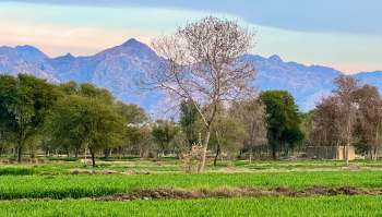Wildlife officials in Azad Jammu and Kashmir reported a hopeful discovery after footage emerged footage of a rare wild goat called a markhor.