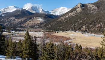Two tourists reached their hands out to a marmot at Rocky Mountain National Park, and one soon learned why that was a bad idea.