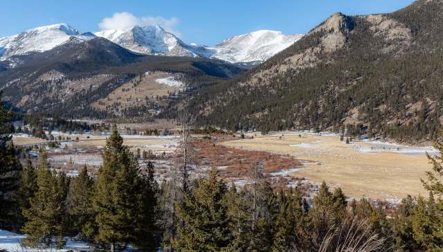 Two tourists reached their hands out to a marmot at Rocky Mountain National Park, and one soon learned why that was a bad idea.