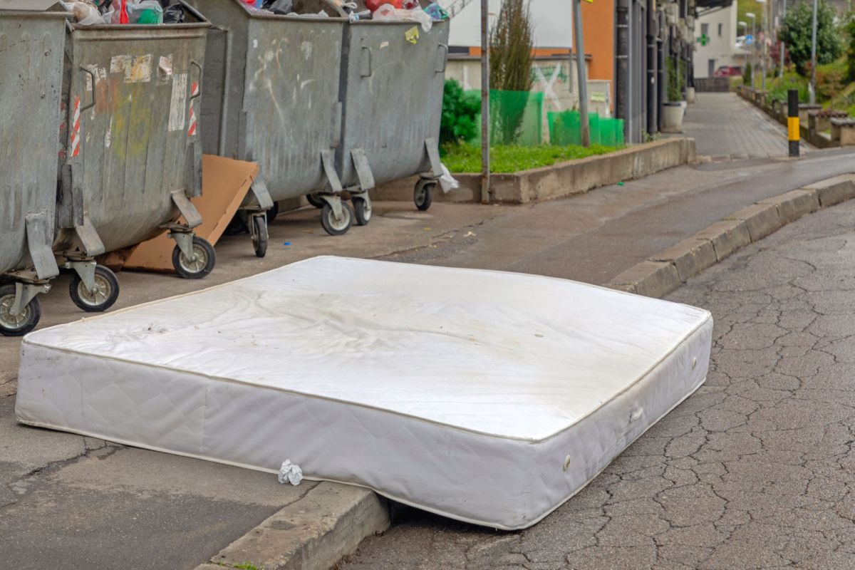 Scientists at Swinburne University of Technology in Australia discovered a way to turn landfilled mattresses into high-performing building insulation using fungi.