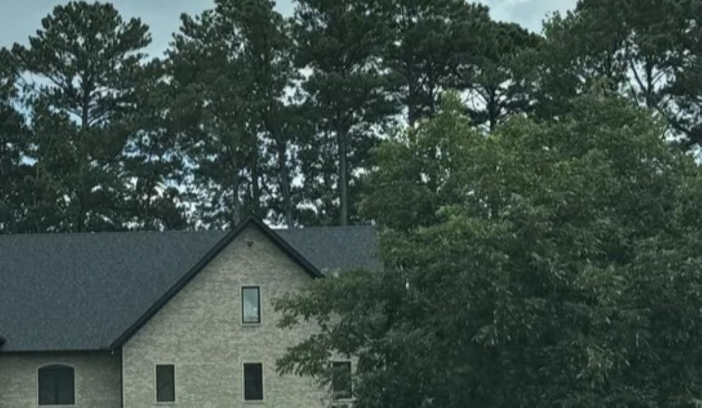 One Reddit user shared their harrowing experience of witnessing the construction of a McMansion in their neighborhood.