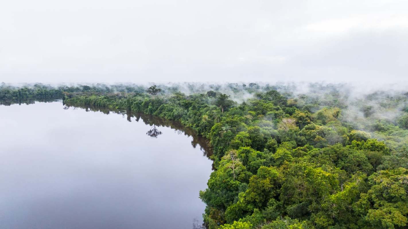 An upcoming study in the peer-reviewed journal Water Research detailed the surprisingly strong effect flooding has on microplastic pollution.