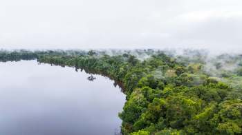 An upcoming study in the peer-reviewed journal Water Research detailed the surprisingly strong effect flooding has on microplastic pollution.