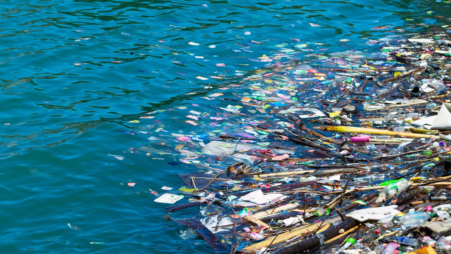 Scientists overturn assumptions about invisible hazard in waterways: 'We are only beginning to understand'