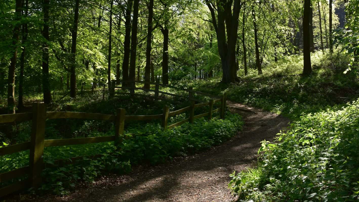 One study is blowing up the idea that urban environments have more microplastics than rural ones.