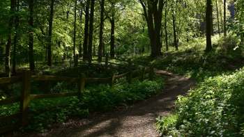 One study is blowing up the idea that urban environments have more microplastics than rural ones.