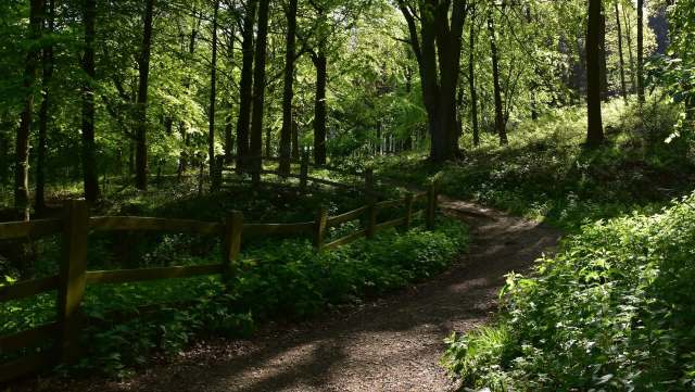 One study is blowing up the idea that urban environments have more microplastics than rural ones.