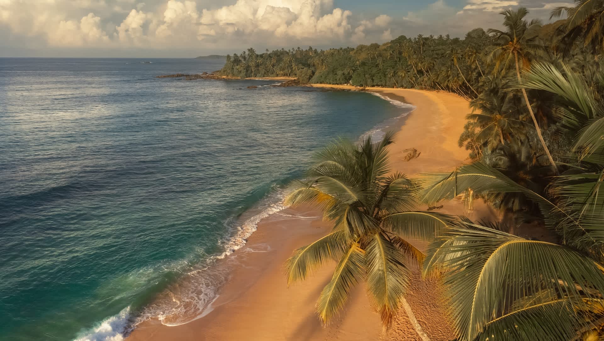 Researchers raise red flags after discovering concerning trend among bird populations: 'A long-term decline'