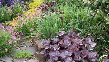 A former property owner posted vibrant photos of a lush garden they had to leave behind and said "missing my garden."