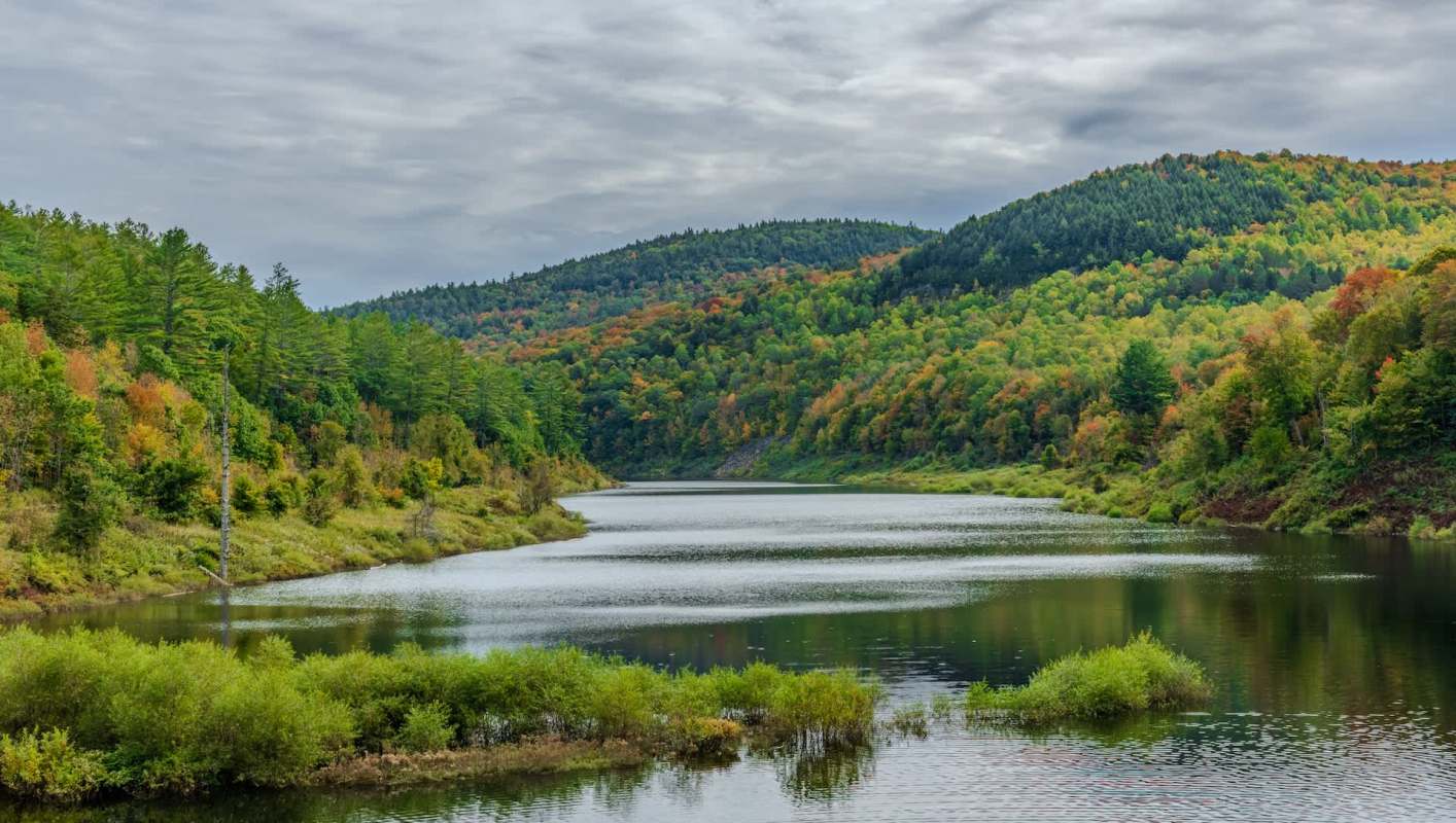 For the first time ever, trail cameras have captured footage of moths feasting on a moose's tears.