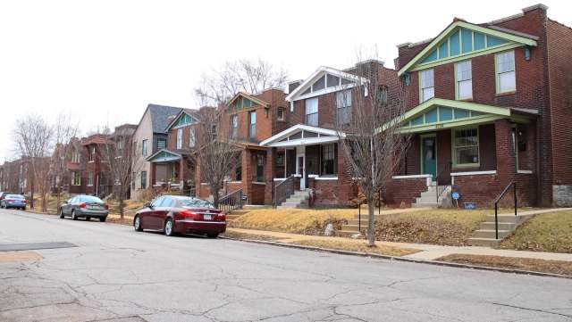 Missouri resident Jessiy Hayes let her dogs out one night only to find a mountain lion hanging around the fence in the back field.