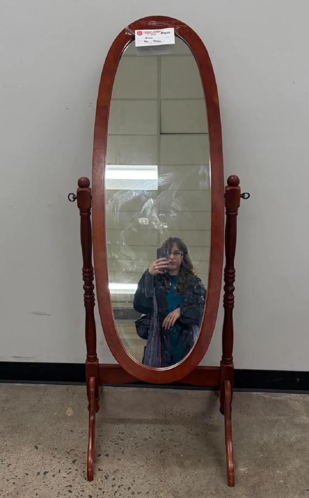 One Redditor shared their frustrating encounter with an overpriced Salvation Army mirror.