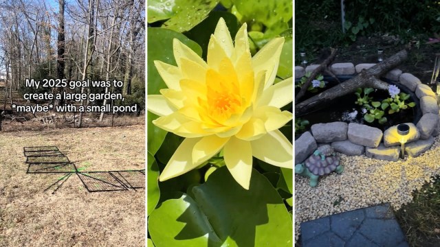 Turning a boring, monoculture lawn into a lush garden full of native plants and even ponds takes some work, but the results can be stunning.