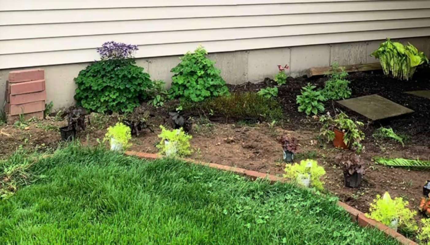 One gardener shared the jaw-dropping progress of their garden, full of native plants, between 2021 and 2025.