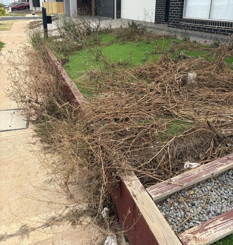 An artificial lawn may look the same as a monoculture grass lawn from a distance, but it's far more dangerous for humans.