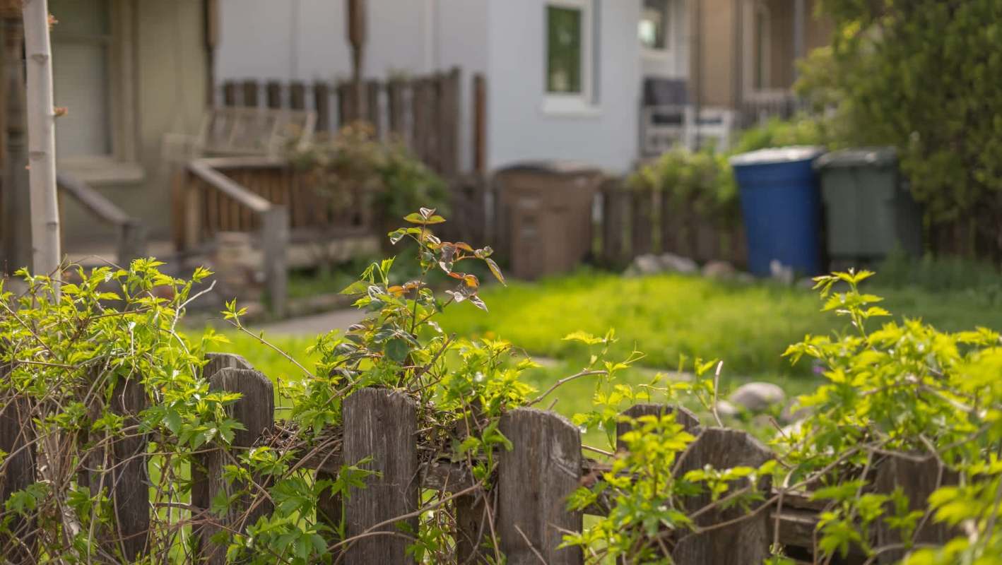 One Redditor shared that their neighbor cut a limb from a tree on their lot without permission, claiming it was "community property."