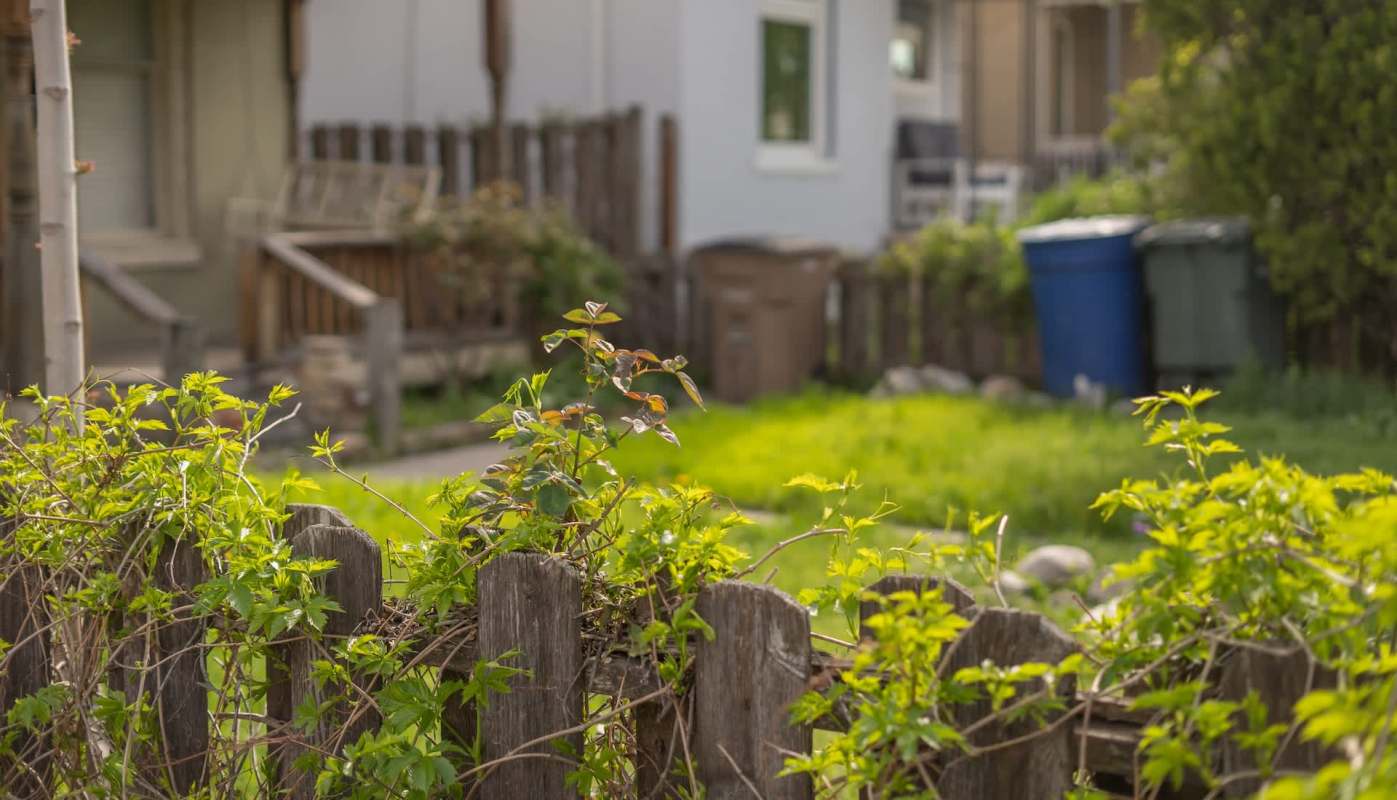 One homeowner took to the Reddit group r/neighborsfromhell for some advice on dealing with their rude neighbor who is destroying their property.