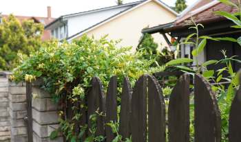 One Reddit user described their infuriating neighbor's dispute over the neighbor intentionally poisoning a tree.