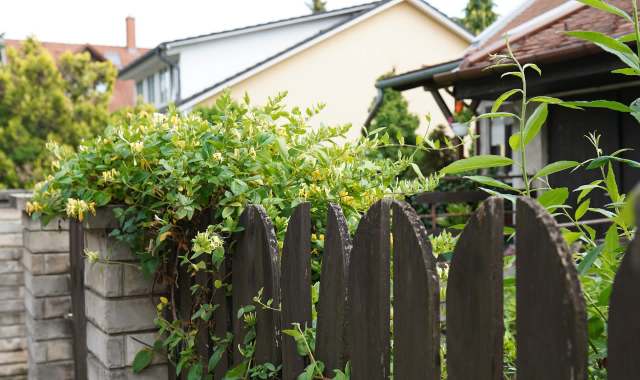 One Reddit user described their infuriating neighbor's dispute over the neighbor intentionally poisoning a tree.