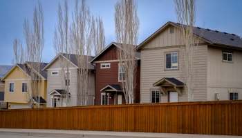 One Reddit user shared how they dealt with a pushy neighbor who trespassed on their property and destroyed plants.