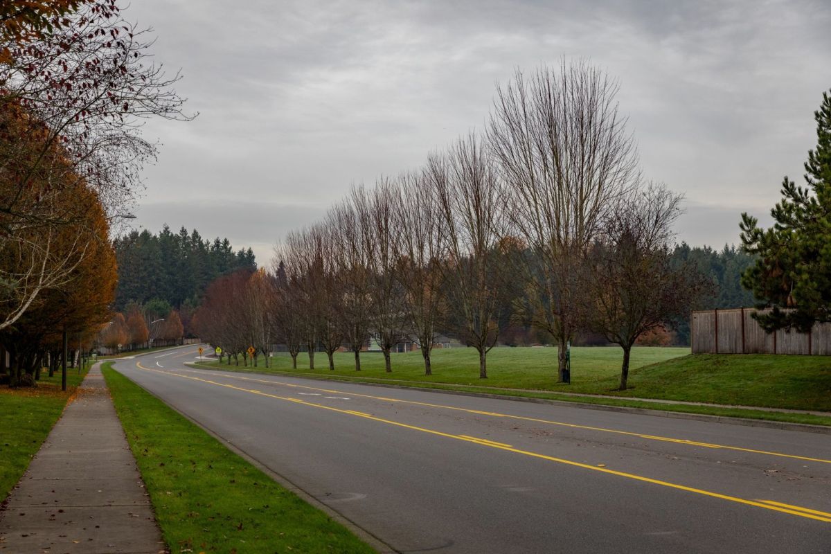 Washington state residents have spotted cougars both during the day and at night, sparking alarm in the state's northern areas.