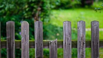 One Redditor shared their frustrations with a neighbor after the neighbor's dogs pooped all over the poster's lawn.