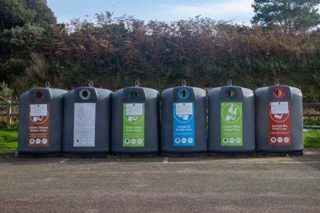 A nightjar in Northern Ireland became disoriented and was found behind a trash can until a wildlife rescuer helped it.