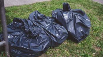 This homeowner is fed up with their nightmare neighbor and shared a rant on Reddit to vent about their situation.