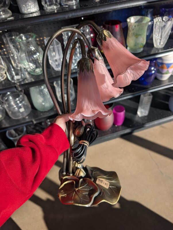 One Reddit user shared how they found their "grail" antique lamp at a thrift store for an unbelievable price.