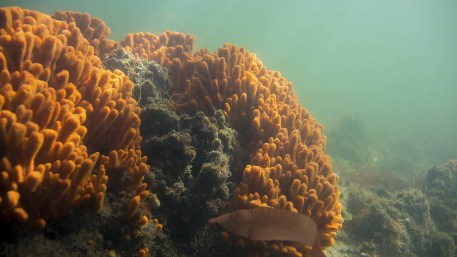 US officials spark backlash with move that could threaten 'irreplaceable' monument: 'Should be preserved for future generations'