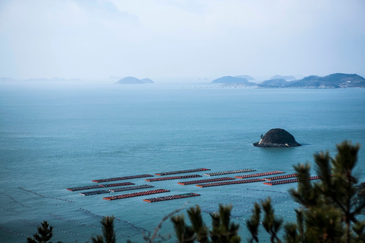 Rising sea temperatures could take a toll of billions of won on South Korea's aquaculture industry.