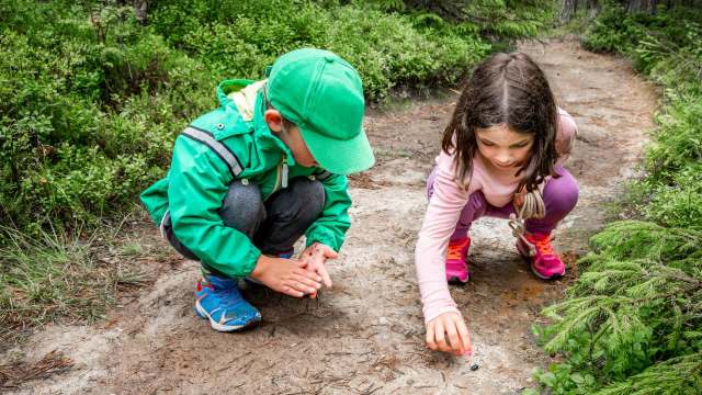 Getting kids outside is one of the most important things parents can do, according to experts across the board.