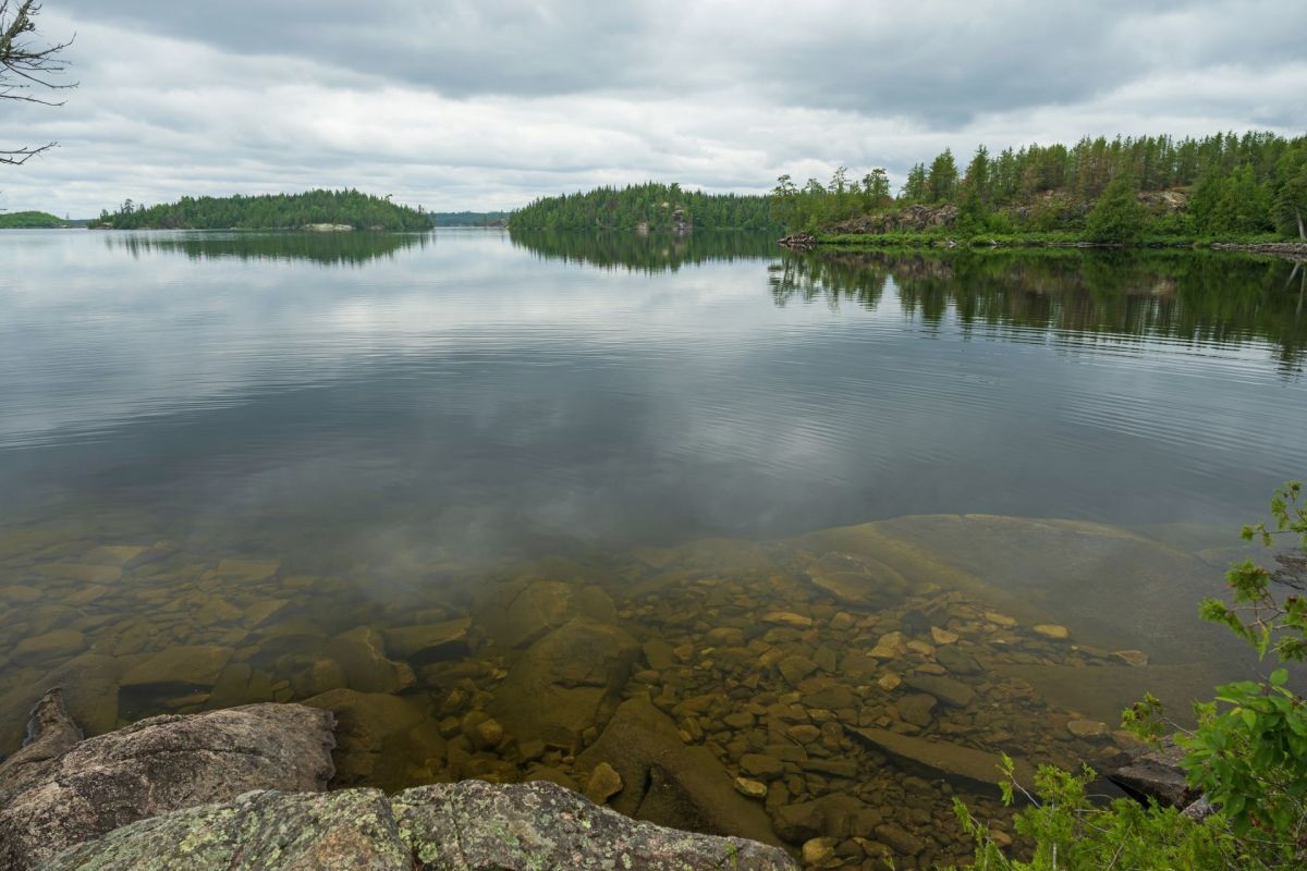 Officials with the Minnesota Department of Natural Resources confirmed there are zebra mussel larvae in Tanner's Lake in Landfall, Minn.