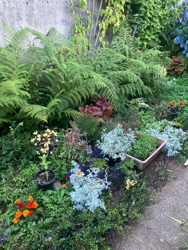One person sparked outrage online after sharing photos of a garden that the landlord has decided to replace with grass.