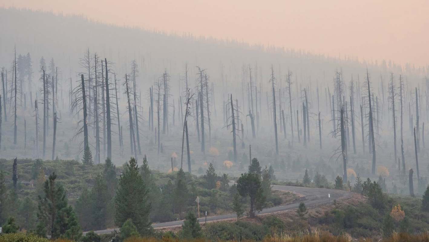Electric power company PacifiCorp announced a $575 million settlement to resolve government claims that its negligence caused six wildfires in Oregon and California.