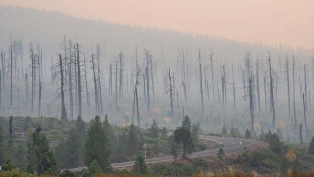 Electric power company PacifiCorp announced a $575 million settlement to resolve government claims that its negligence caused six wildfires in Oregon and California.