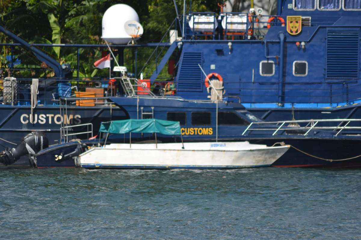 The Nigeria Customs Service rescued four live pangolins from a boat traveling along the Alapa Creek.