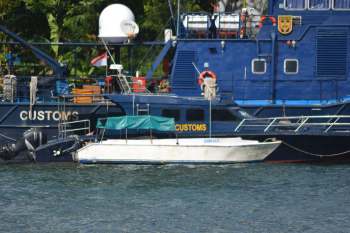 The Nigeria Customs Service rescued four live pangolins from a boat traveling along the Alapa Creek.