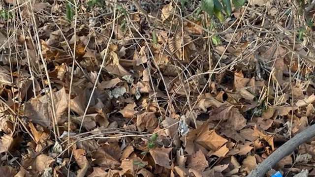 A Redditor shared gut-wrenching photos of the litter at their local park, hoping to inspire positive change.