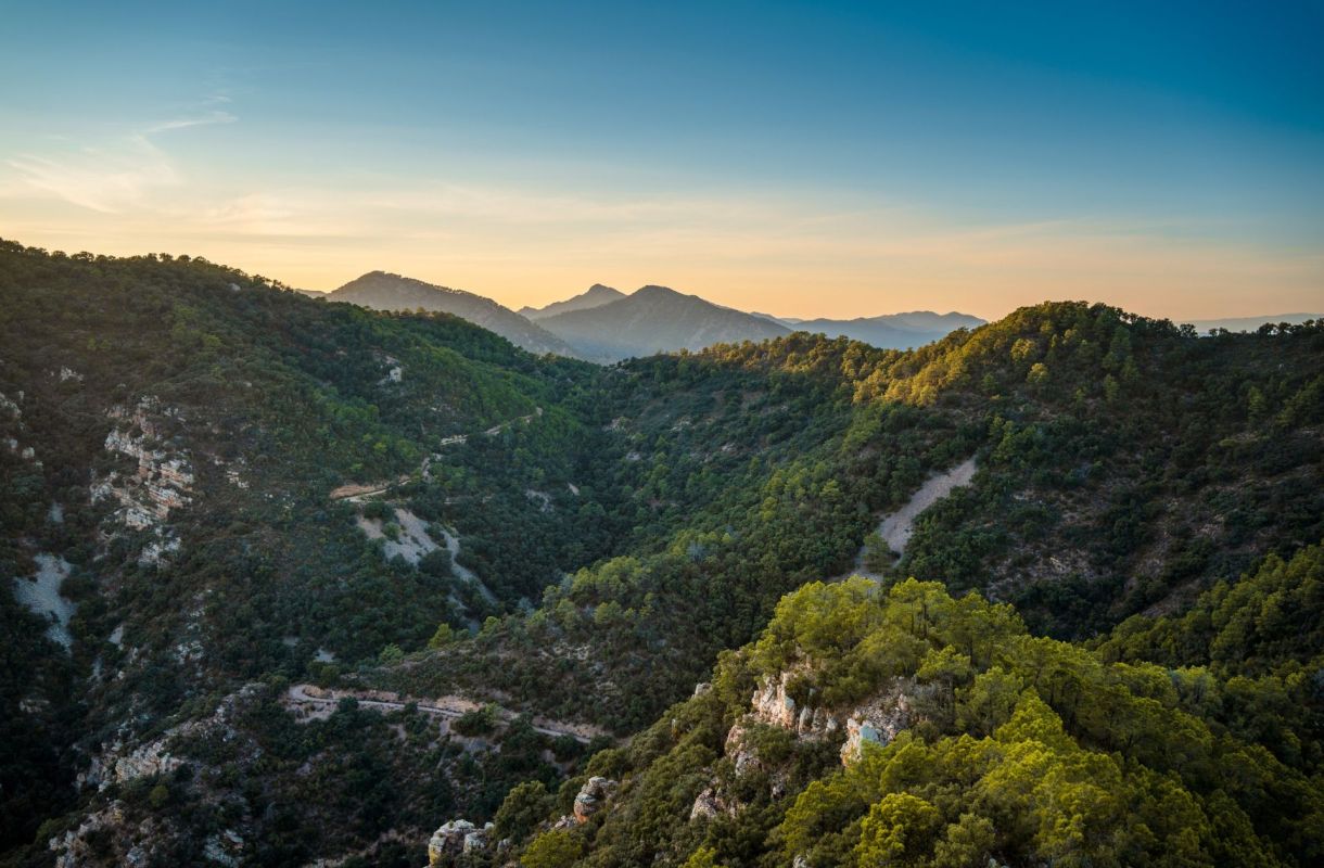 New research analyzing tree rings in Spain revealed some of the clearest long-term Mediterranean climate observations regarding how climate patterns are shifting.