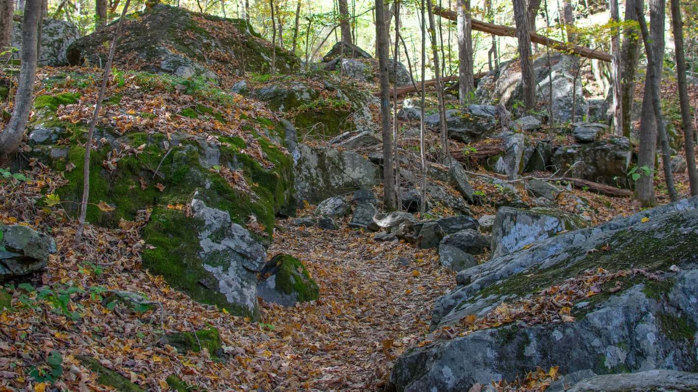 One Redditor revealed the shocking defacement of ancient petroglyphs in Northern Virginia.